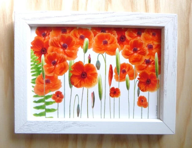 Wild Orange Poppies 6x8 Frame