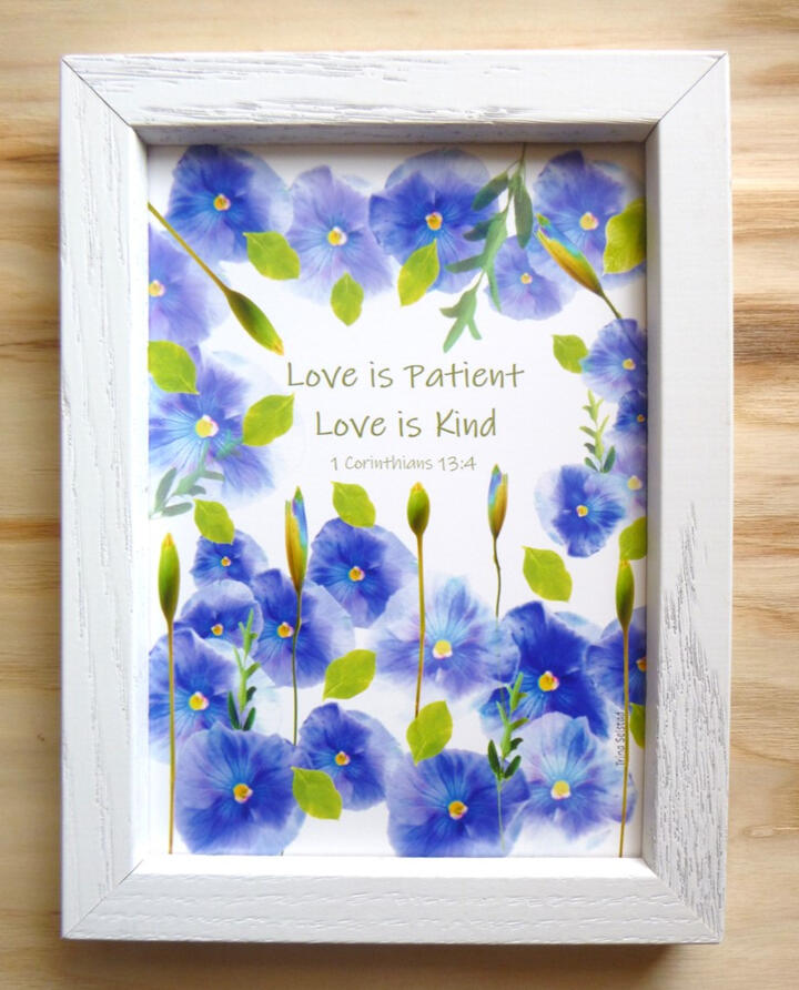 Blue Pansies 6x8 Frame
