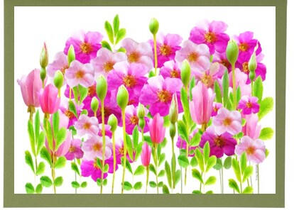 Rose Garden Frameable Card